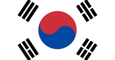 South Korea at the 2026 FIFA World Cup: Son's Last Dance flag